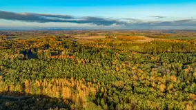 Podsumowanie mazurskiej, złotej jesieni 2024, cz. II - zdjęcie 33