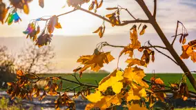 Podsumowanie mazurskiej, złotej jesieni 2024, cz. III - zdjęcie 39