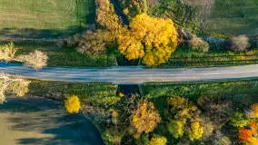 Podsumowanie mazurskiej, złotej jesieni 2024, cz. III - zdjęcie 32