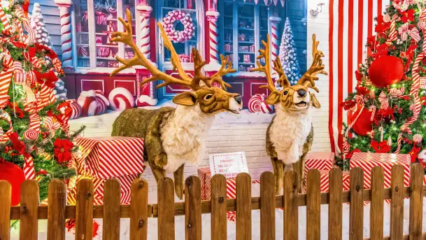 Przystań Świętego Mikołaja w Gwarku – Mazury Zimą Pełne Magii - zdjęcie 8