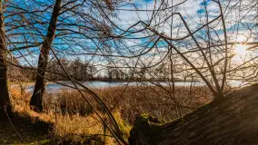 Słoneczny, późno jesienny dzień nad Niegocinem, grudzień 2024 r. - zdjęcie 7