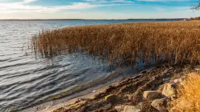 Słoneczny, późno jesienny dzień nad Niegocinem, grudzień 2024 r. - zdjęcie 8