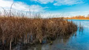 Słoneczny, późno jesienny dzień nad Niegocinem, grudzień 2024 r. - zdjęcie 30