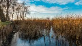 Słoneczny, późno jesienny dzień nad Niegocinem, grudzień 2024 r. - zdjęcie 23