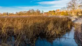 Słoneczny, późno jesienny dzień nad Niegocinem, grudzień 2024 r. - zdjęcie 13