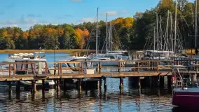 Łabędzi Ostrów w Pięknej Górze w połowie października 2024 - zdjęcie 1