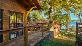 Łabędzi Ostrów w Pięknej Górze w połowie października 2024 - zdjęcie 6