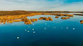 Wschód słońca nad jeziorem Dargin, most Sztynorcki, grudzień 2024 r. - zdjęcie 45