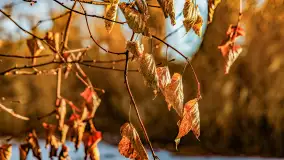 Zimowe mobilne biuro Mazury24, czyli Arek na biwaku, grudzień 2024 r. - zdjęcie 16