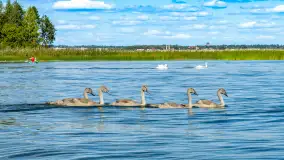 Mix mazurskich ujęć z szuflady, 2024 cz. II - zdjęcie 1