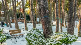 Hotel i port Tajty lekkie oprószone śniegiem, styczeń 2025 - zdjęcie 23