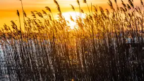 Zachód słońca nad jeziorem Tajty, styczeń 2025 r. - zdjęcie 27