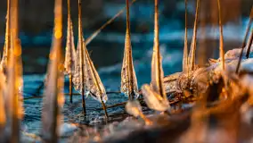 Zachód słońca nad jeziorem Tajty, styczeń 2025 r. - zdjęcie 12