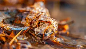 Zachód słońca nad jeziorem Tajty, styczeń 2025 r. - zdjęcie 17