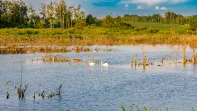 Mix mazurskich ujęć z szuflady, 2024 cz. III - zdjęcie 11