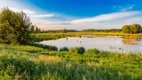 Mix mazurskich ujęć z szuflady, 2024 cz. III - zdjęcie 1