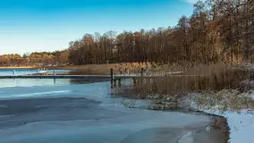 Łabędzi Ostrów w Pięknej Górze w zimowej aurze, styczeń 2025 r. - zdjęcie 38