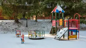 Łabędzi Ostrów w Pięknej Górze w zimowej aurze, styczeń 2025 r. - zdjęcie 40