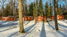 Łabędzi Ostrów w Pięknej Górze w zimowej aurze, styczeń 2025 r. - zdjęcie 28