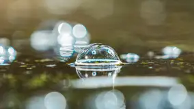 Przedwiośnie w Puszczy Boreckiej, kwiecień 2021 r. - zdjęcie 23