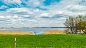 Jezioro Gawlik na początku później wiosny, maj 2021 r. - zdjęcie 7