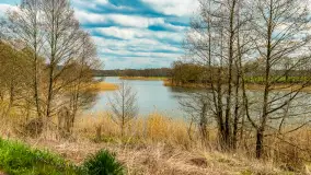 Jezioro Gawlik na początku później wiosny, maj 2021 r. - zdjęcie 5