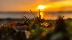 Zachód słońca nad jeziorem Dargin, styczeń 2025 r. - zdjęcie 12