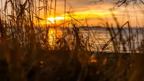 Zachód słońca nad jeziorem Dargin, styczeń 2025 r. - zdjęcie 6