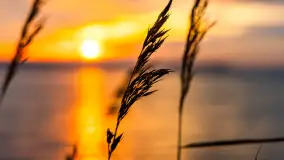 Zachód słońca nad jeziorem Dargin, styczeń 2025 r. - zdjęcie 28