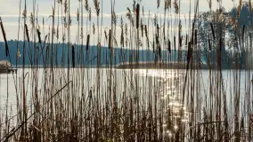 Kanał Kula i mazurska zima... bez śniegu, styczeń 2025 r. - zdjęcie 4