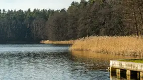 Kanał Kula i mazurska zima... bez śniegu, styczeń 2025 r. - zdjęcie 40