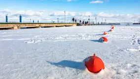 Niedzielne, zimowe popołudnie w Wilkasach nad Niegocinem, luty 2025 r. - zdjęcie 58