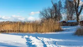 Niedzielne, zimowe popołudnie w Wilkasach nad Niegocinem, luty 2025 r. - zdjęcie 15