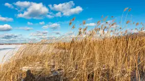 Niedzielne, zimowe popołudnie w Wilkasach nad Niegocinem, luty 2025 r. - zdjęcie 21