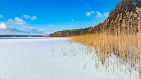 Zatoka Mrówki i jezioro Ryńkie w zimowej odsłonie, luty 2024 r. - zdjęcie 1