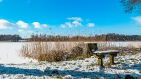 Zatoka Mrówki i jezioro Ryńkie w zimowej odsłonie, luty 2024 r. - zdjęcie 13