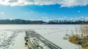 Zatoka Mrówki i jezioro Ryńkie w zimowej odsłonie, luty 2024 r. - zdjęcie 33