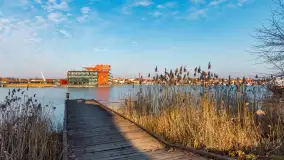 Mikołajki zimą, wersja jeszcze bez śniegu, luty 2025 r. - zdjęcie 4