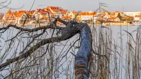 Mikołajki zimą, wersja jeszcze bez śniegu, luty 2025 r. - zdjęcie 12