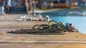 Tło dla mew w okowach zimy... ale bez śniegu, styczeń 2025 r. - zdjęcie 25