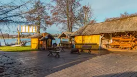 Tło dla mew w okowach zimy... ale bez śniegu, styczeń 2025 r. - zdjęcie 2