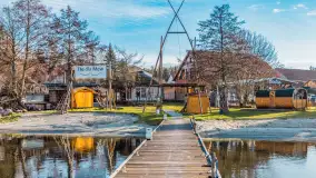 Tło dla mew w okowach zimy... ale bez śniegu, styczeń 2025 r. - zdjęcie 12