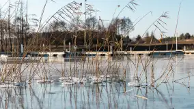 Przystań Nautica w zimowej scenerii, luty 2025 r. - zdjęcie 6