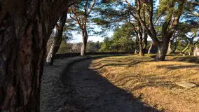 Cmentarz wojenny Jagerhohe zimą... ale bez śniegu, luty 2025 r. - zdjęcie 12