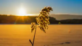 Zachód słońca nad jeziorem Kisajno, Piękna Góra, luty 2025 r. - zdjęcie 10