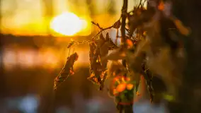 Zachód słońca nad jeziorem Kisajno, Piękna Góra, luty 2025 r. - zdjęcie 6