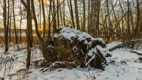 Zachód słońca nad jeziorem Kisajno, Piękna Góra, luty 2025 r. - zdjęcie 25