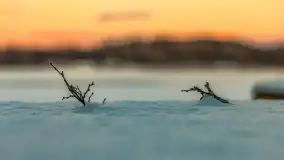 Zachód słońca nad jeziorem Kisajno, Piękna Góra, luty 2025 r. - zdjęcie 21