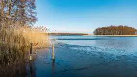 Przedwiośnie na przystani Leśny Zakątek, jezioro Mamry, marzec 2025 r. - zdjęcie 10