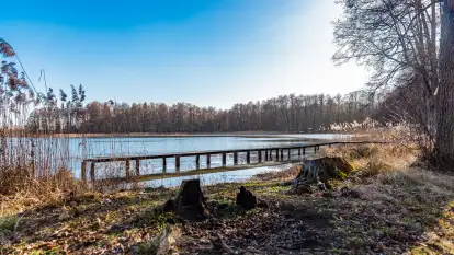 Przedwiośnie na przystani Leśny Zakątek, jezioro Mamry, marzec 2025 r.
